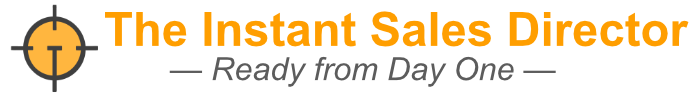 The Instant Sales Director – Ready From Day One